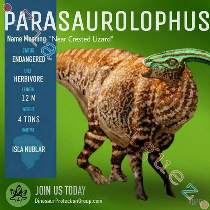 Parasaurolophus