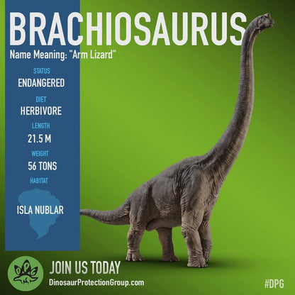 Brachiosaurus 1.2